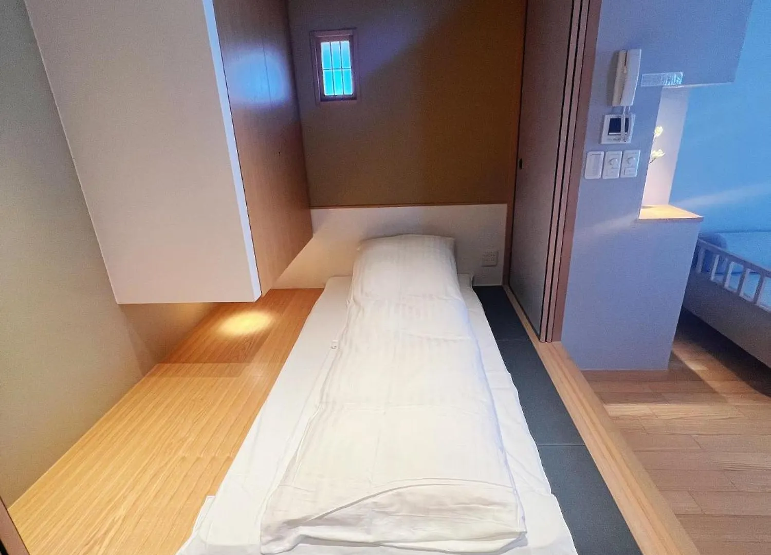 Nplus Tokyo Akihabara Premium